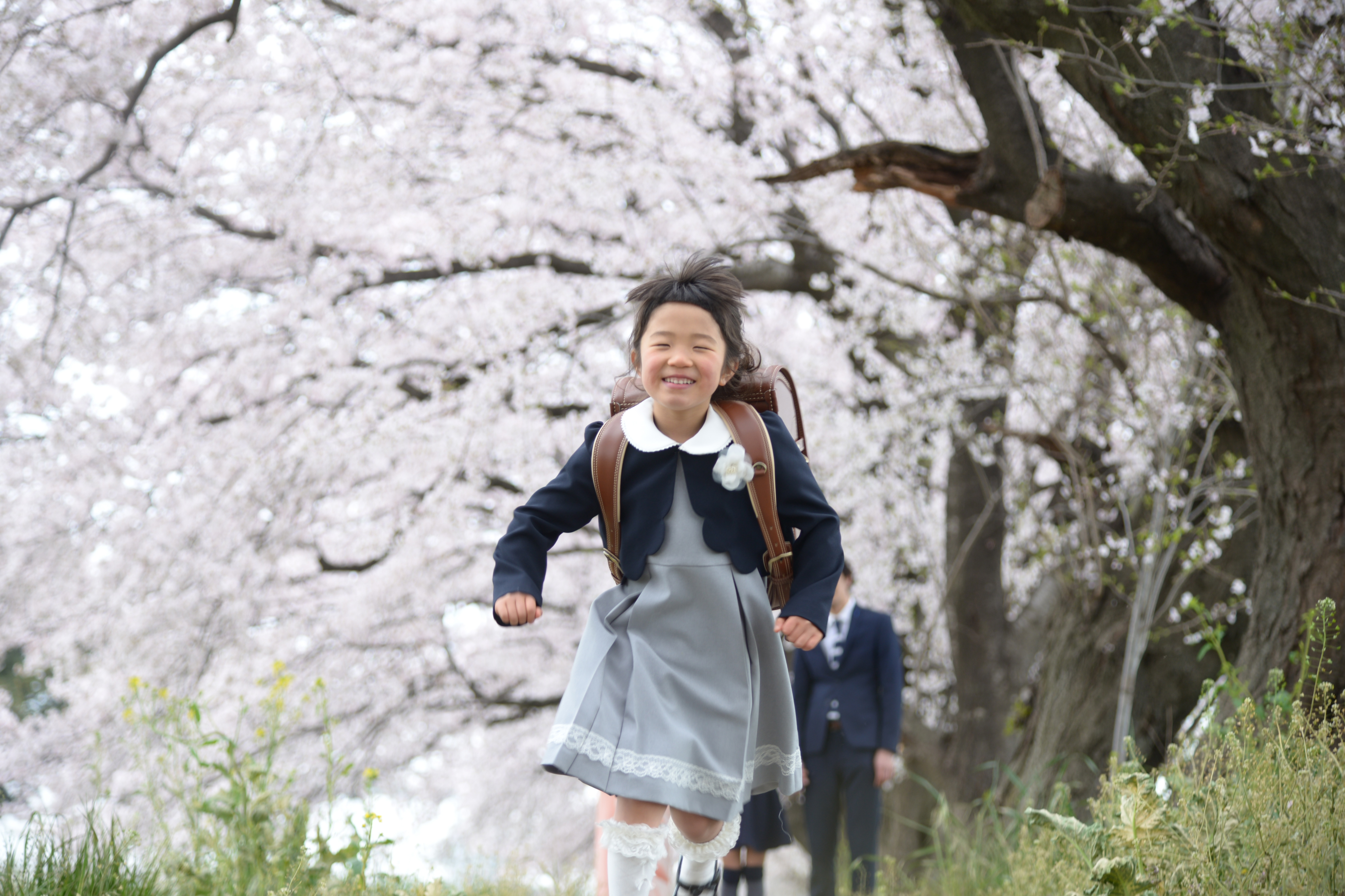 桜ロケ予約状況のご案内